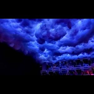 Meet your Posher, Finn